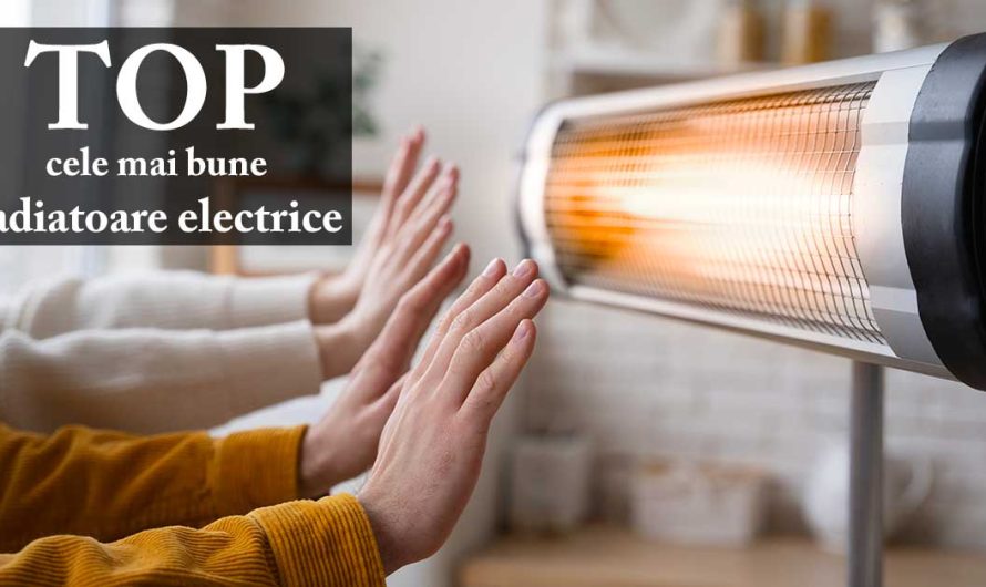 TOP 5 cele mai bune air fryer (friteuze cu aer cald) 2025
