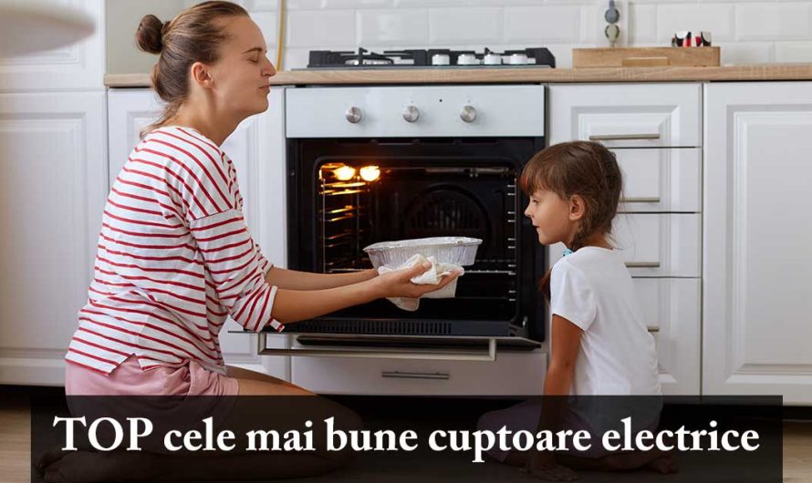 TOP 5 cele mai bune air fryer (friteuze cu aer cald) 2025
